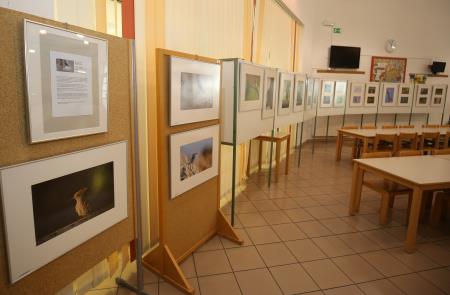 RAZSTAVA FOTOGRAFIJ V OŠ RAKEK 01 FOTO LJUBO VUKELIČ 